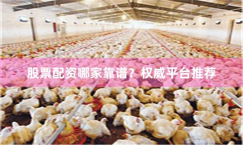 股票配资哪家靠谱？权威平台推荐